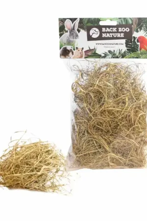 Beste Prijs Back Zoo Nature Palm Grass