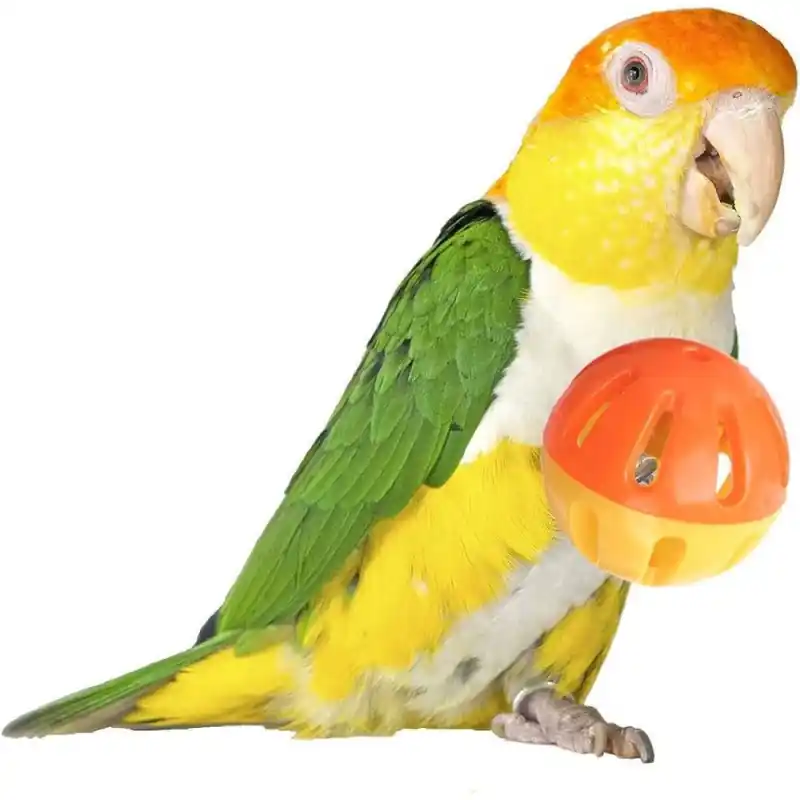 Super Bird Creations Birdie Ball Veilige Betaling