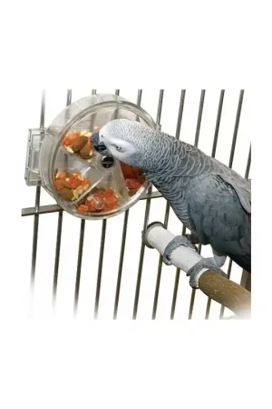 Creative Foraging Systems - Original Foraging Wheel Koop Vandaag
