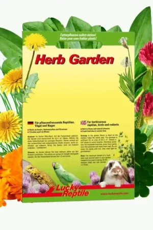 Lucky Reptile Herb Garden - Autumn Mix Snelle Levering