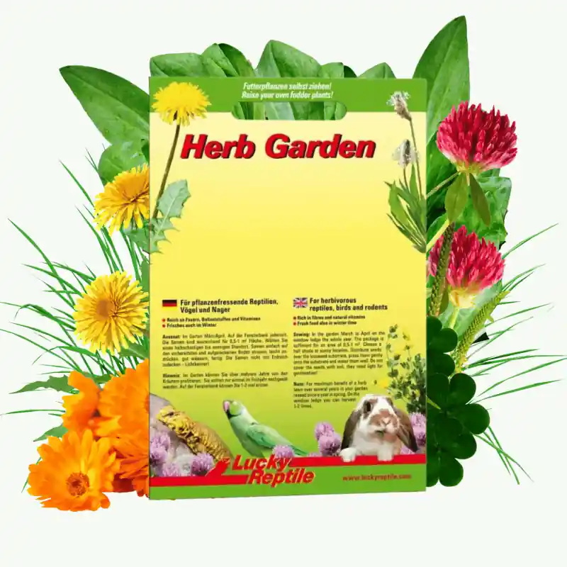 Lucky Reptile Herb Garden - Autumn Mix Snelle Levering
