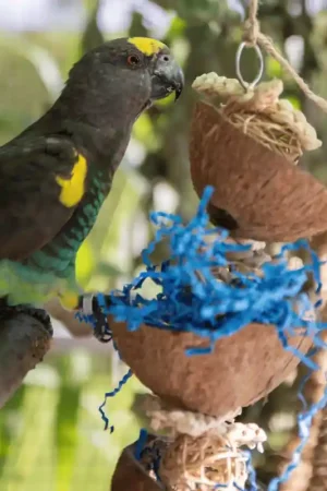 Back Zoo Nature Coco Bucket Tower Merkproduct