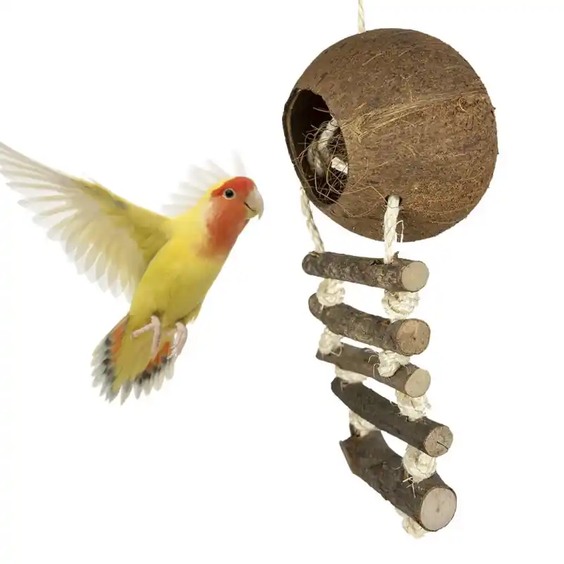Back Zoo Nature Coconut with Ladder Hete Deal