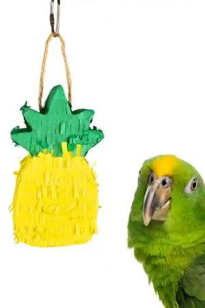 Petlala Pinata Pineapple Beperkt Aanbod