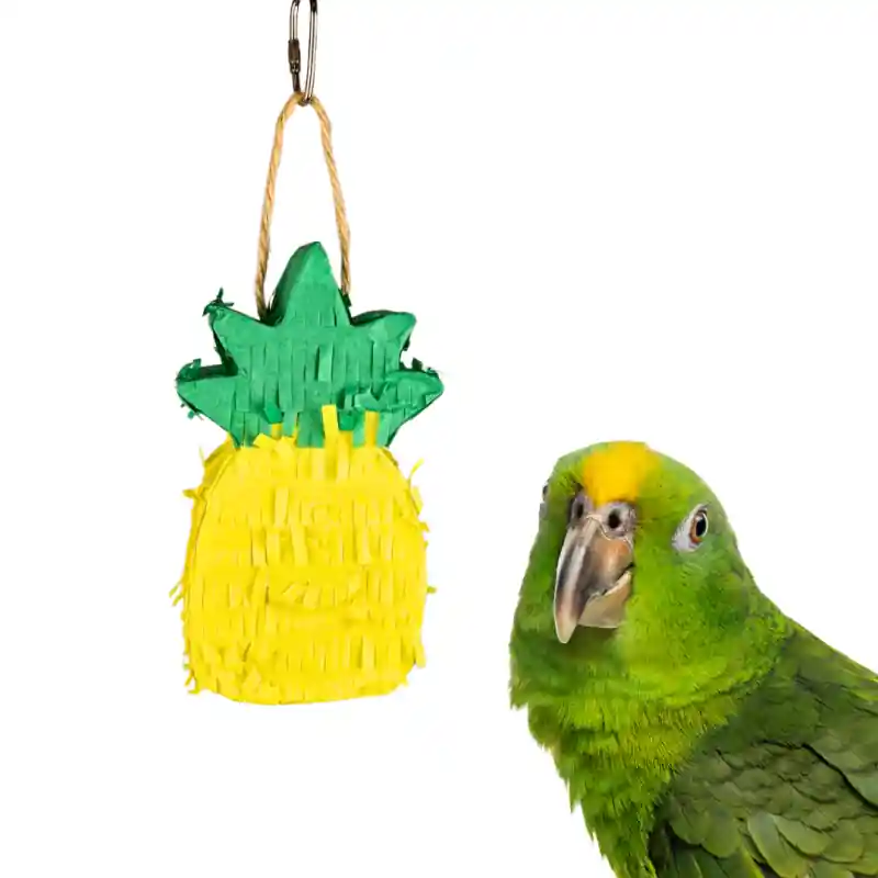 Petlala Pinata Pineapple Beperkt Aanbod