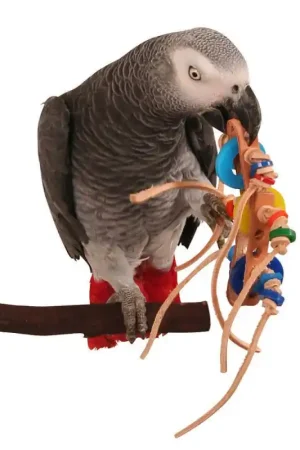 Direct Verzonden Zoo Max Rollicking Foot Toy for Parrots