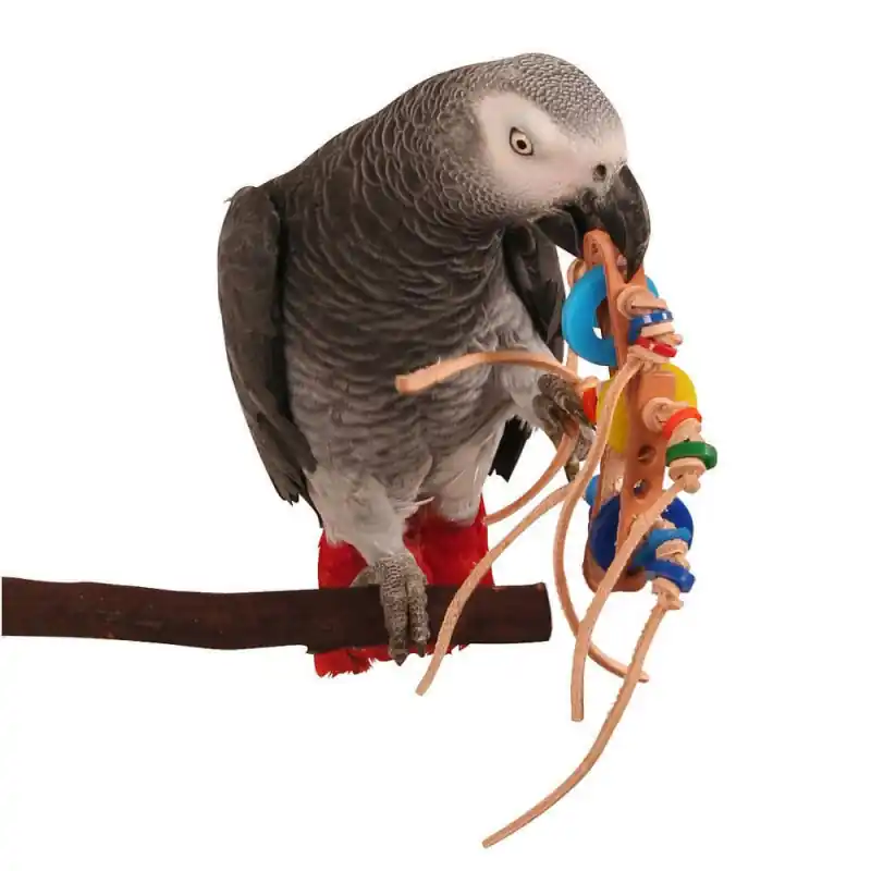Direct Verzonden Zoo Max Rollicking Foot Toy for Parrots