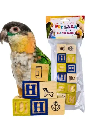Betaalbaar Petlala Wooden ABC Blocks 3 cm 12stuks - DIY Bird Toy Parts