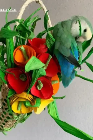 Back Zoo Nature Flower Bouquet Gereduceerde Prijs