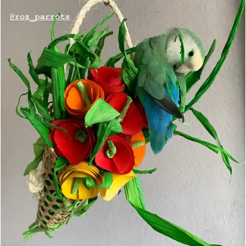 Back Zoo Nature Flower Bouquet Gereduceerde Prijs