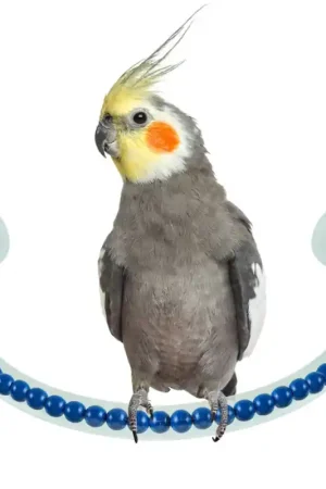 Populair Petlala Happy Shower Perch Medium