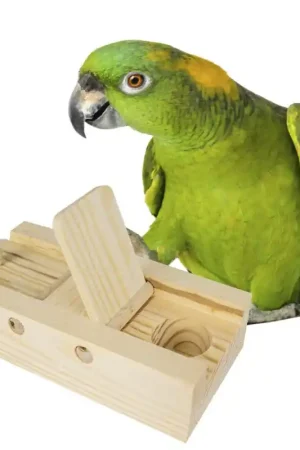 Back Zoo Nature Braintrainer Flaps Speciale Aanbieding