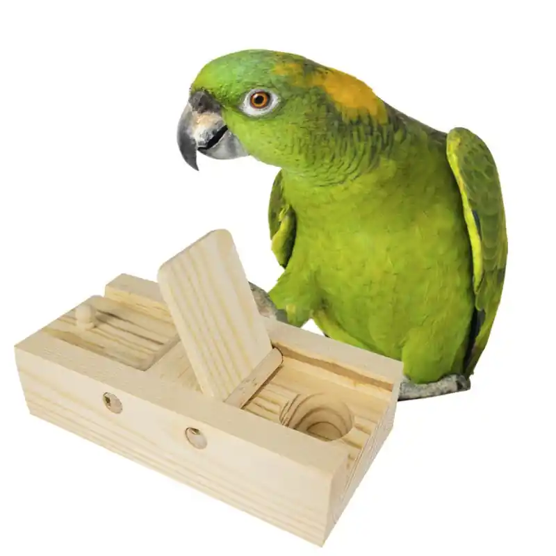 Back Zoo Nature Braintrainer Flaps Speciale Aanbieding