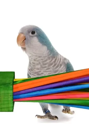 Super Bird Creations Paper Party Laatste Kans