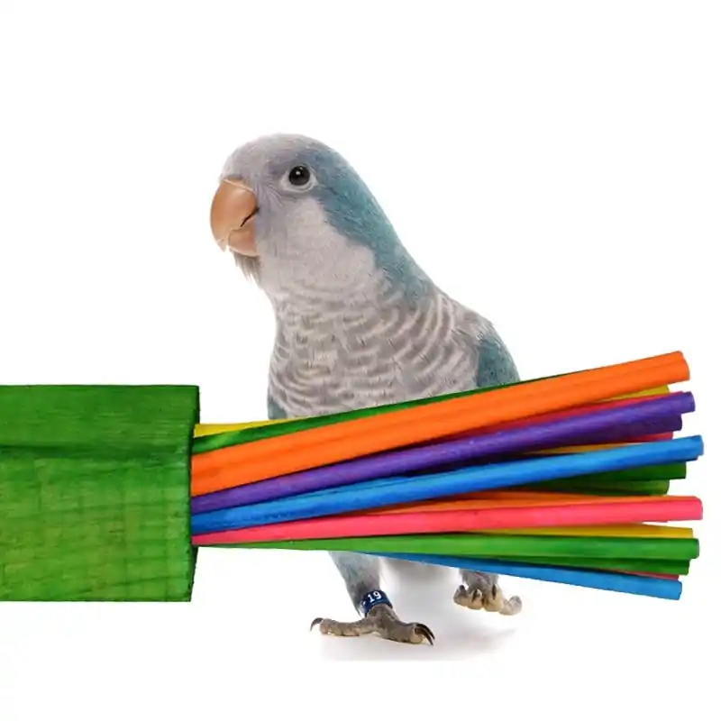 Super Bird Creations Paper Party Laatste Kans