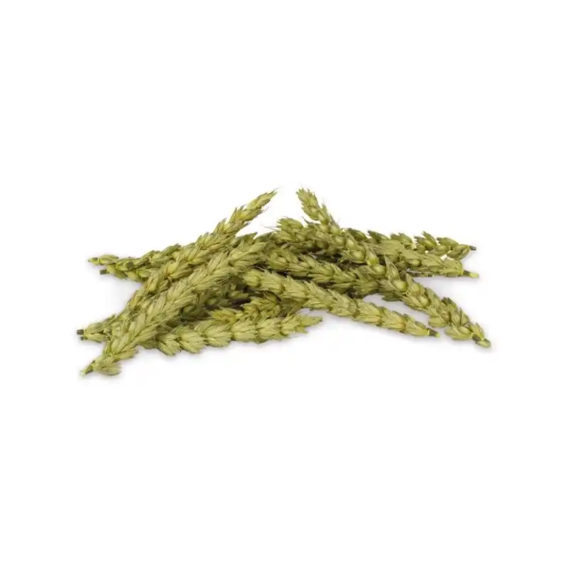 Aanbieding JR Farm Knabbel Aren 30 Gram