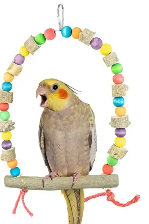 Back Zoo Nature Pepper Wood Colour Swing Alleen Vandaag