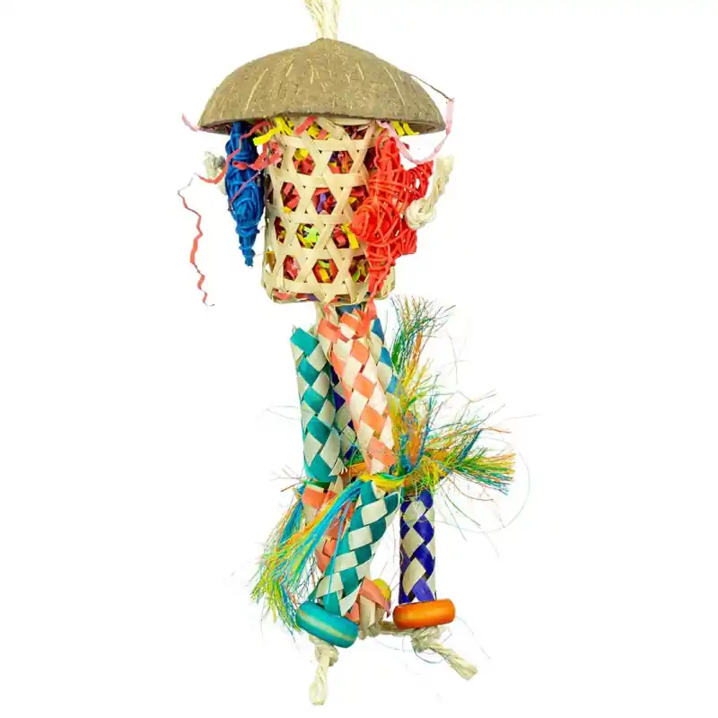 Back Zoo Nature Firecracker Aanbieding