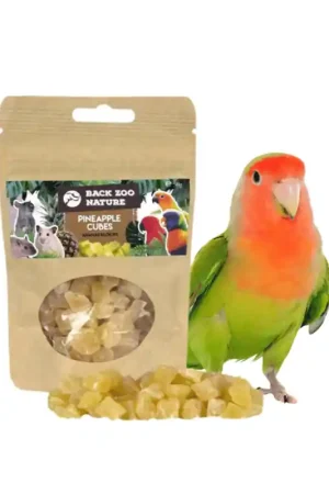 Shop Nu Back Zoo Nature Ananas Blokjes 50 gram