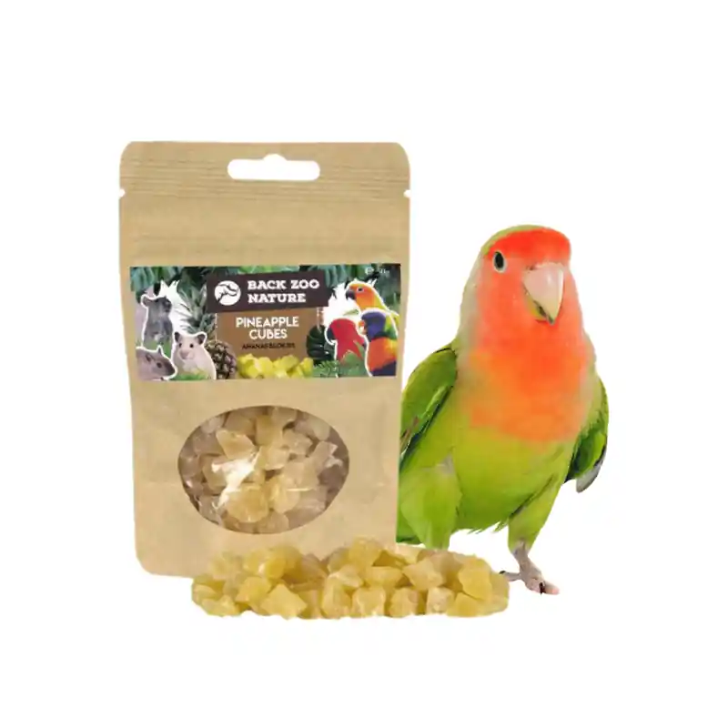 Shop Nu Back Zoo Nature Ananas Blokjes 50 gram