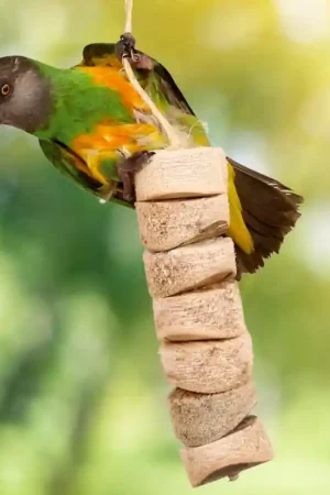 Bird Kabob Premium