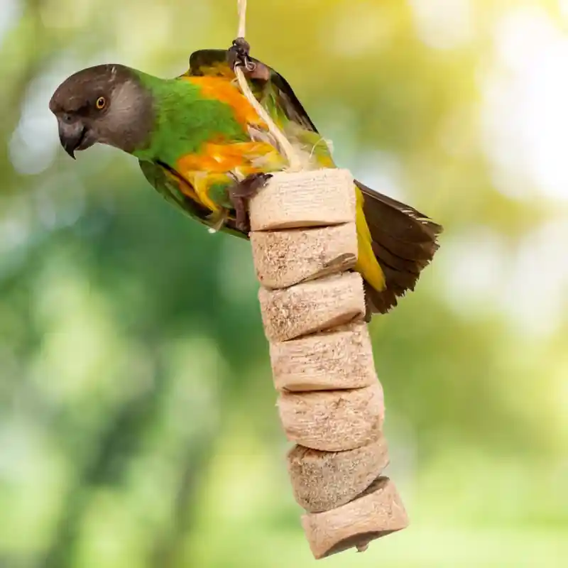 Bird Kabob Premium