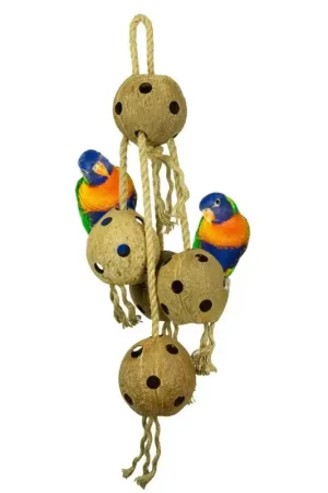 Back Zoo Nature Coconut Chain XL Meest Verkocht