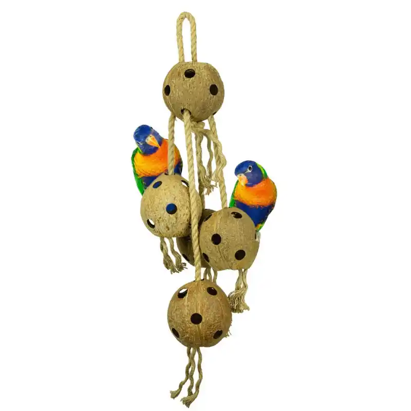 Back Zoo Nature Coconut Chain XL Meest Verkocht