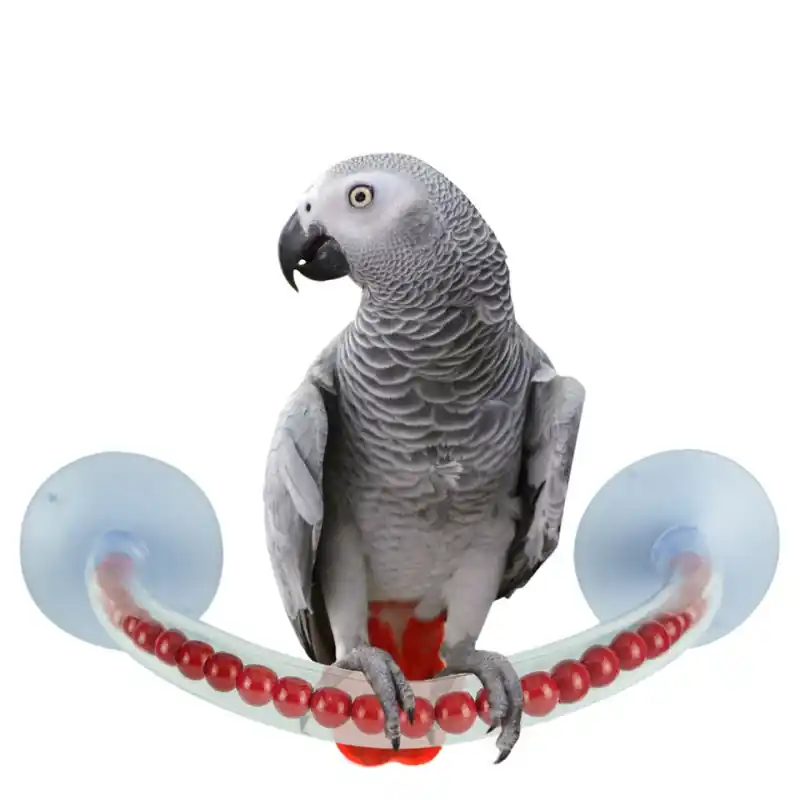 Beste Prijs Petlala Happy Shower Perch Large