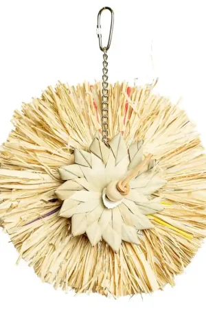 Back Zoo Nature Sunny Flower Speciale Aanbieding