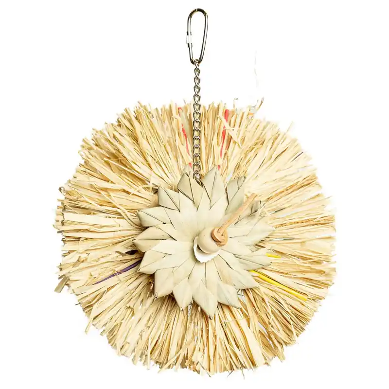 Back Zoo Nature Sunny Flower Speciale Aanbieding