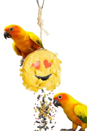 Weekendaanbieding Petlala Emoji Pinata