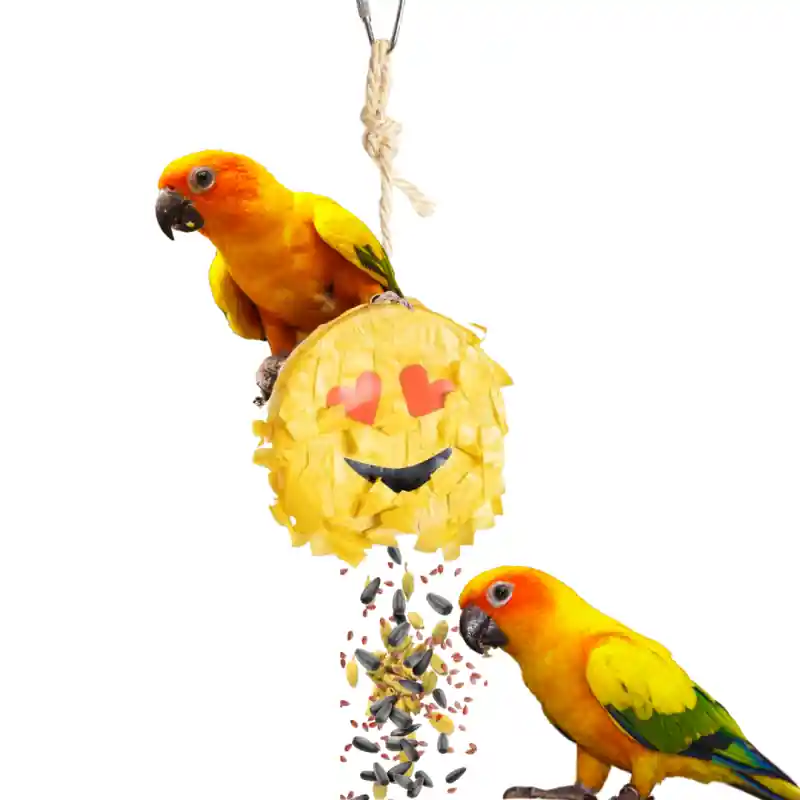Weekendaanbieding Petlala Emoji Pinata