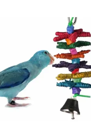 Aanbieding Super Bird Creations Star Gazer