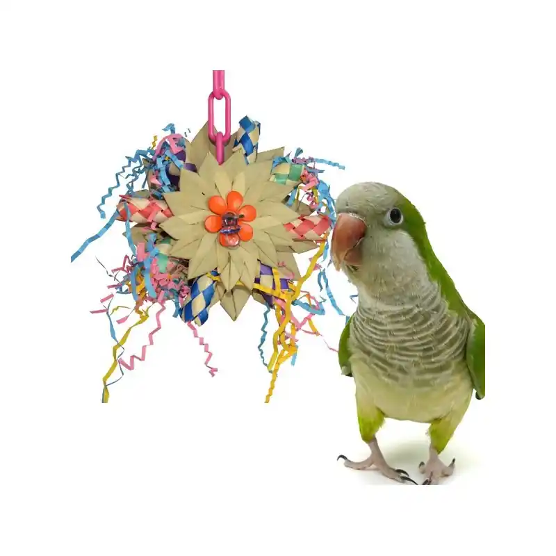 Super Bird Creations Pinwheel Direct Verzonden