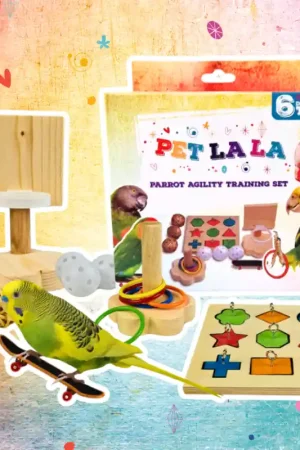 Betaalbaar Petlala Parrot Agility Training Set