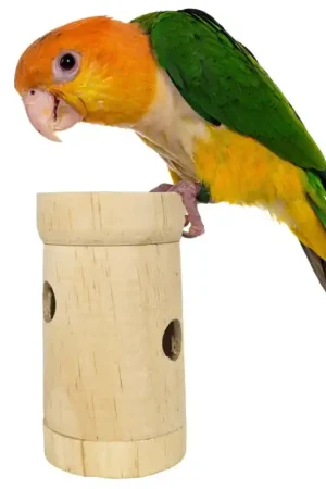 Back Zoo Nature Snack Roll Favoriet