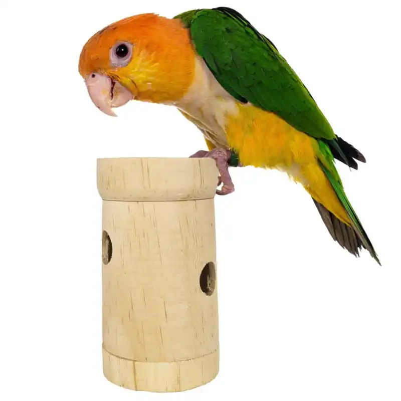 Back Zoo Nature Snack Roll Favoriet