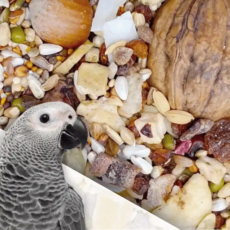 Nu Kopen Mixerama Grijze Roodstaart Fruit en Noten 2,5kg