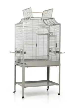 Gereduceerde Prijs Montana Madeira II Platinum