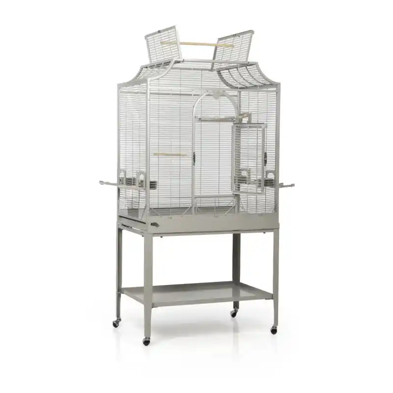 Gereduceerde Prijs Montana Madeira II Platinum