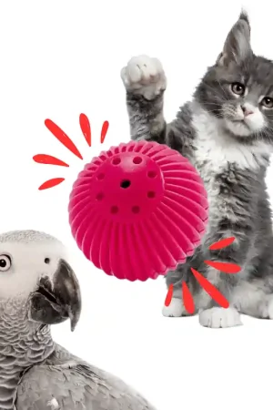 Superprijs Kitty Babble Ball