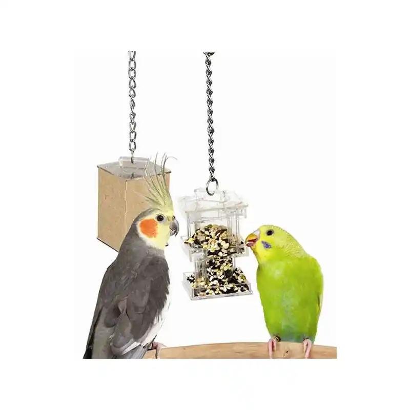 Creative Foraging Systems Hide Away Foraging Feeder Superprijs