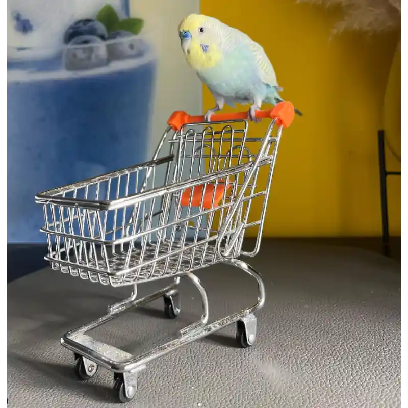 Express Levering Petlala Winkelwagentje voor Papegaaien