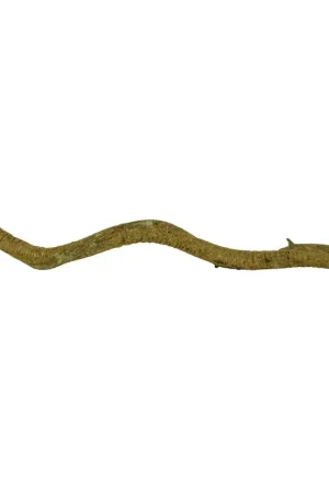 Speciale Aanbieding Back Zoo Nature Saba Liana 2-3 cm 50-60 cm