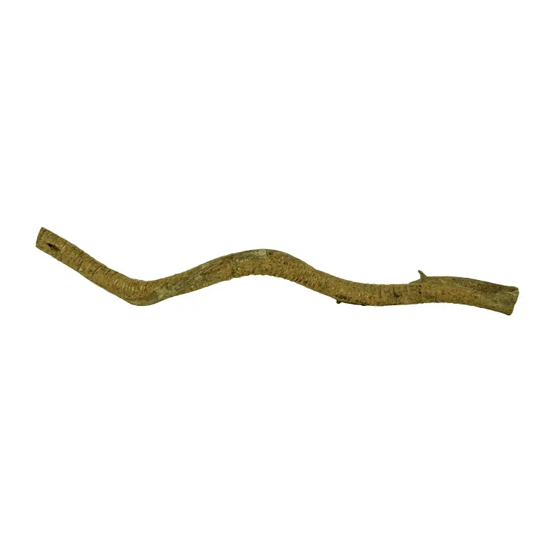Speciale Aanbieding Back Zoo Nature Saba Liana 2-3 cm 50-60 cm