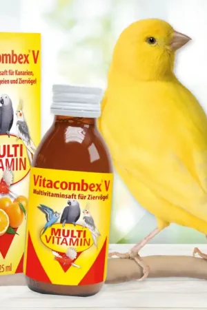 Shop Nu Quiko Vitacombex V Multivitamine Liquid 30ml