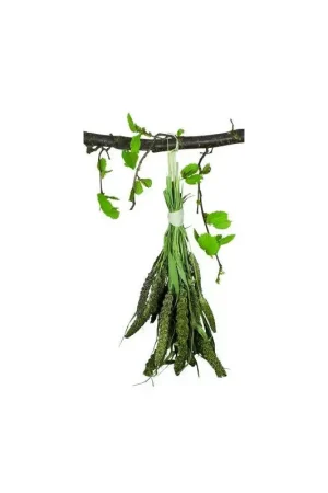 JR Farm Senegal Gierst 50 gram Flitsaanbieding