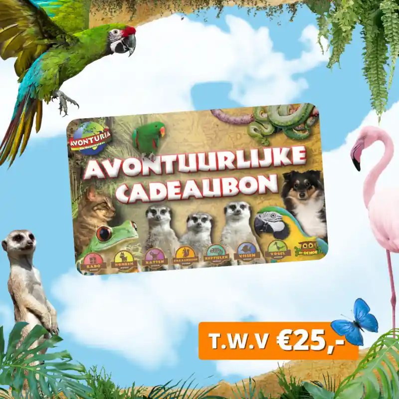 Avonturia Kadobon Cadeaubon t.w.v. 25 euro + GRATIS kadoverpakking Nu Kopen