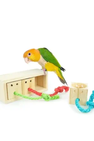 Beperkte Voorraad Back Zoo Nature Treat Cubes